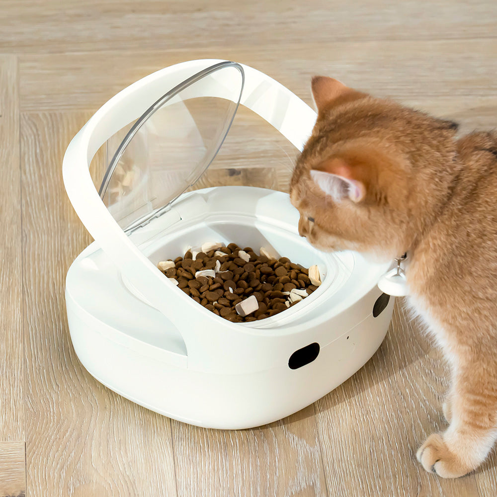 Smart Cat Face Recognition Feeder