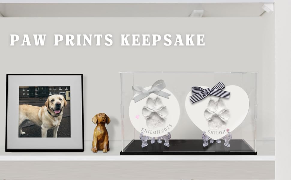 Paw Print Kit for Dog or Cat (Makes 2)