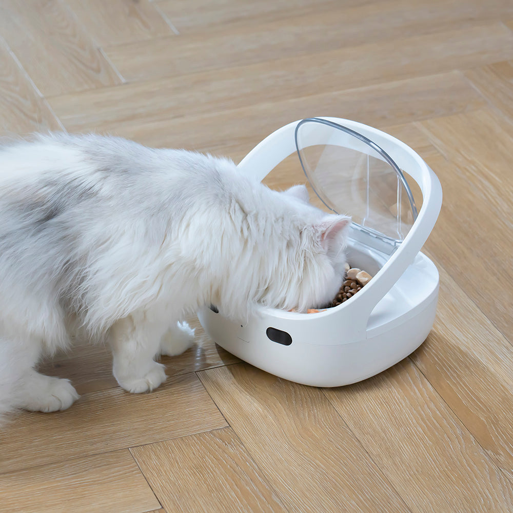 Smart Cat Face Recognition Feeder