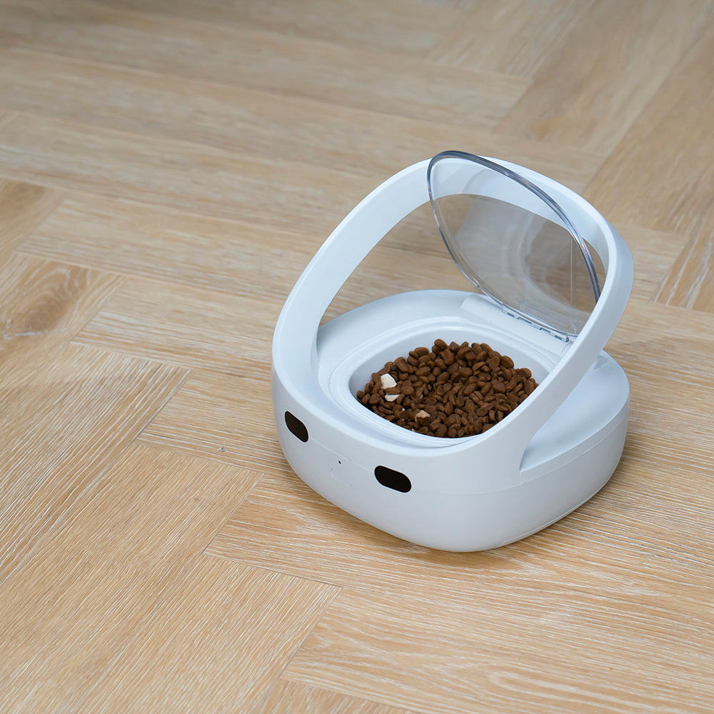 Smart Cat Face Recognition Feeder