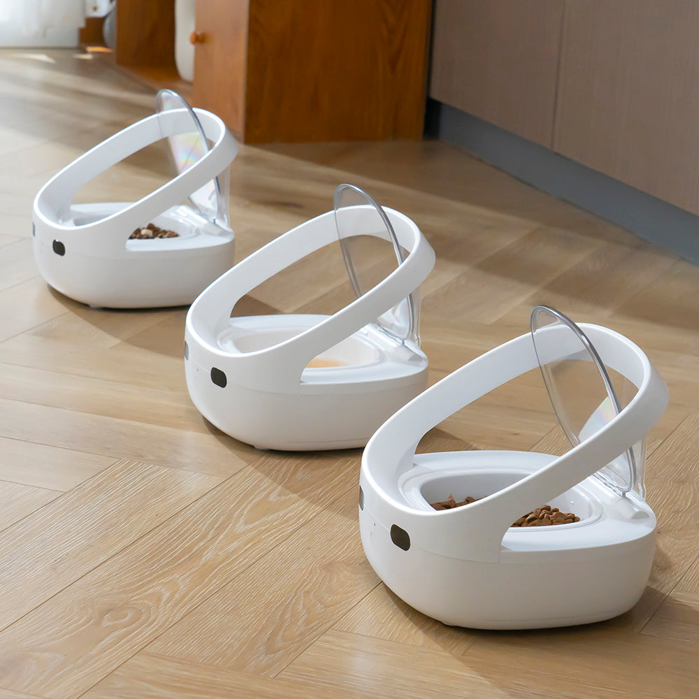 Smart Cat Face Recognition Feeder