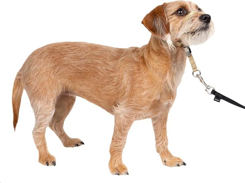 Gentle Leader No-Pull Head Collar for Dogs