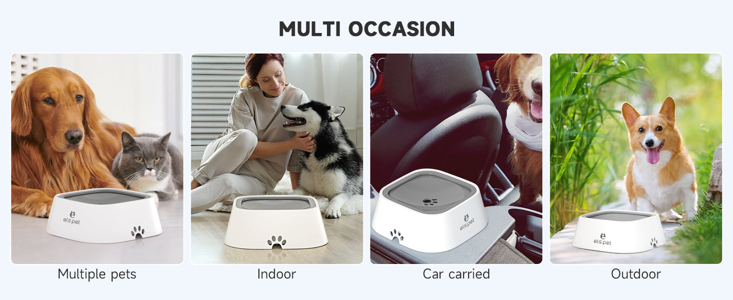 PET Travel Bowl No Spill No Drip Slow Water Feeder/Dispenser