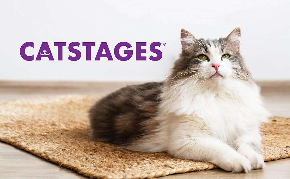 Catstages Tower of Tracks 3-Level Cat Track Toy