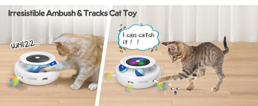 2in1 Interactive Toys for Indoor Cats