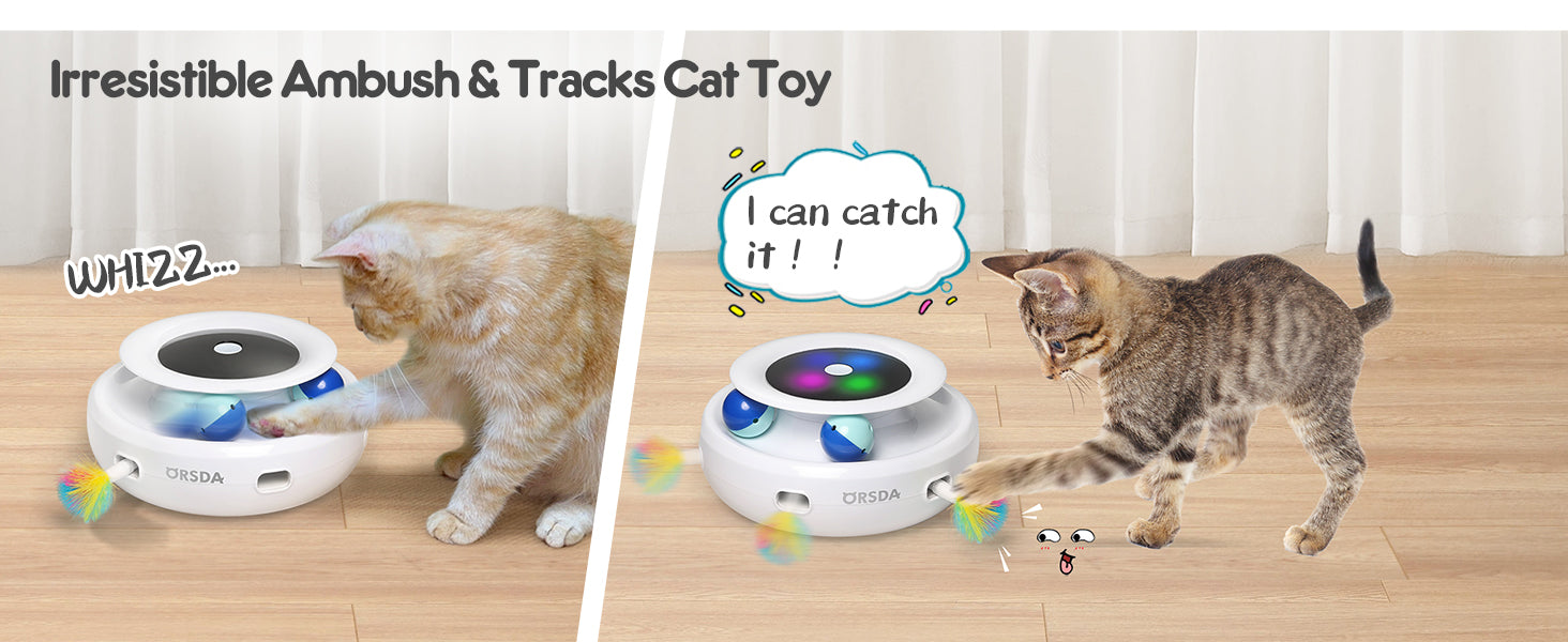 2in1 Interactive Toys for Indoor Cats