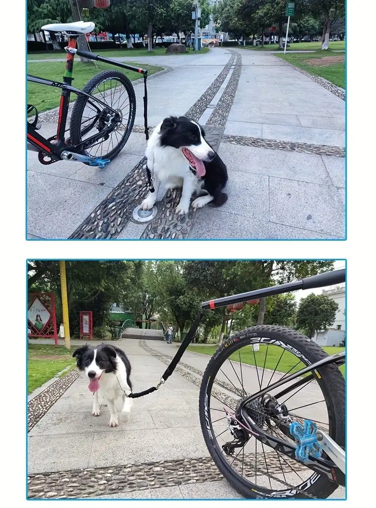 Bike Dog Leash with Detachable Stainless Steel Cable