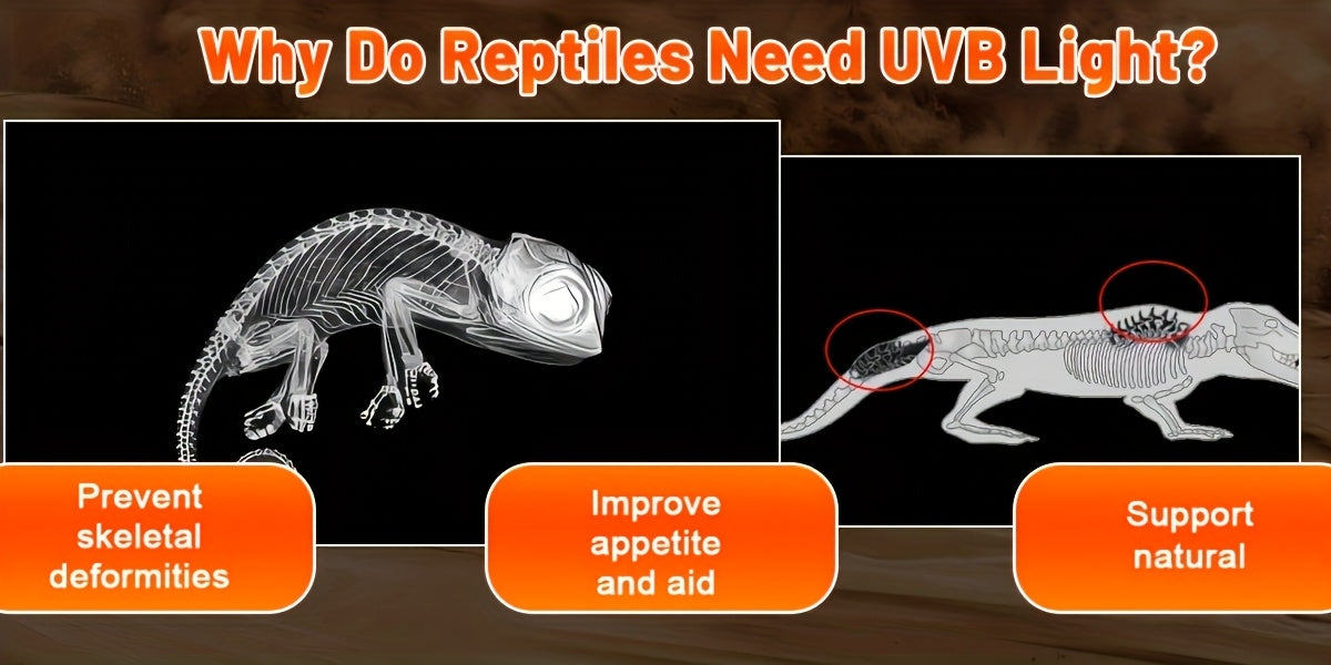 T5 UVB Reptile Light Fixture Combo Kit