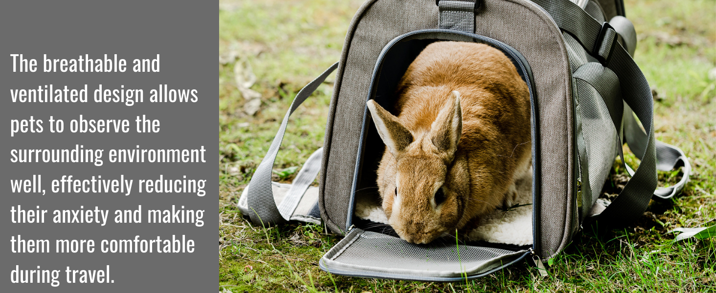 Pet Carrier Dog Carrier Soft Cat Carrier