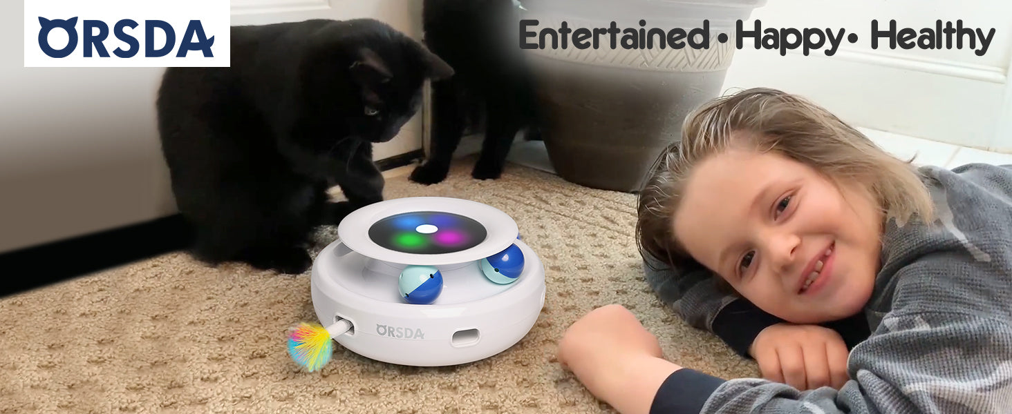 2in1 Interactive Toys for Indoor Cats