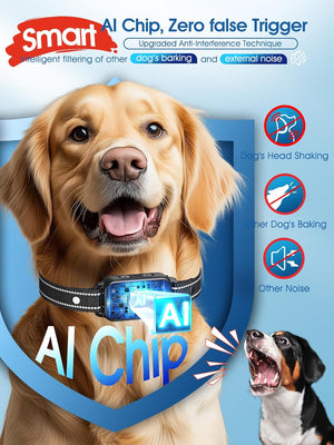 Smart Bark Collar