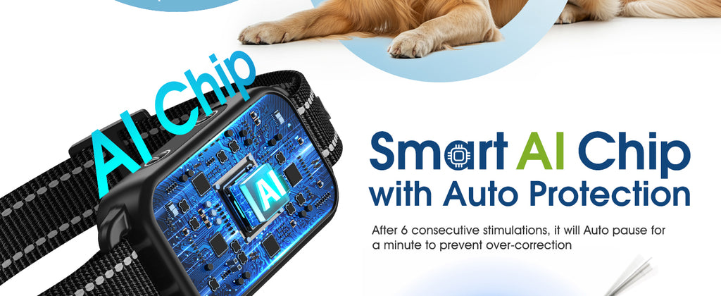 Smart Bark Collar