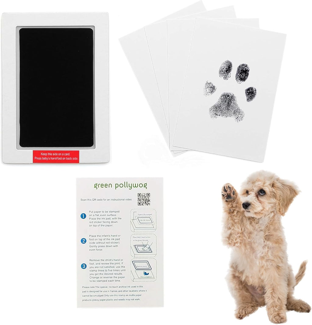 Green Pollywog Extra-Large Clean Touch Inkless Ink Pad Paw Print Stamp Kit |
