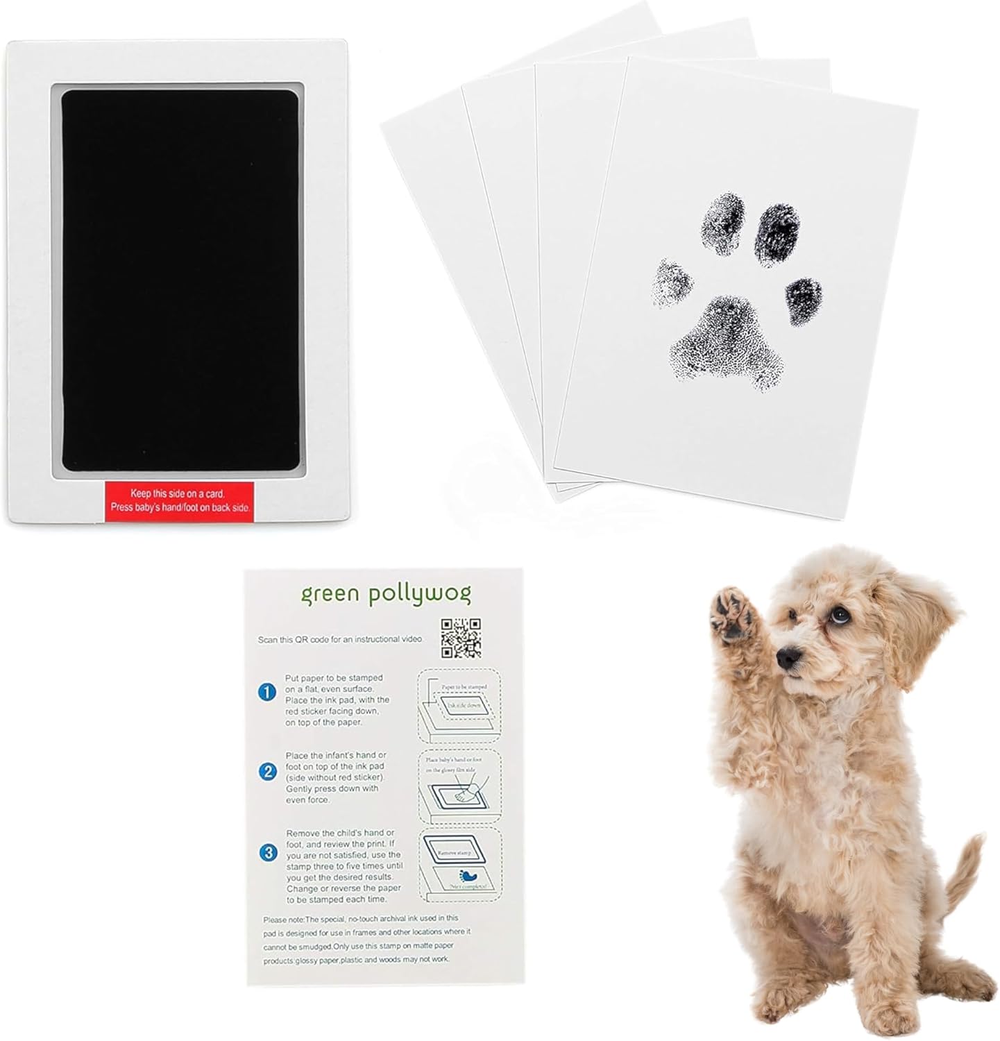 Green Pollywog Extra-Large Clean Touch Inkless Ink Pad Paw Print Stamp Kit |