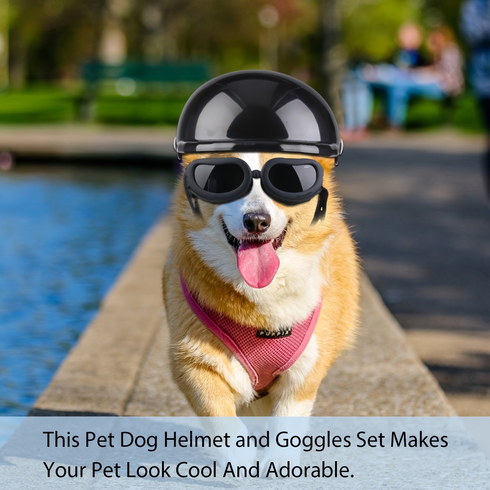 Dog Helmet And Goggles