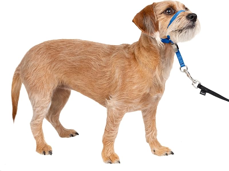 Gentle Leader No-Pull Head Collar for Dogs