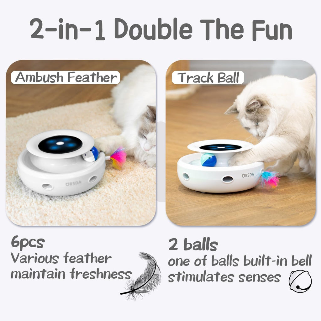 2in1 Interactive Toys for Indoor Cats