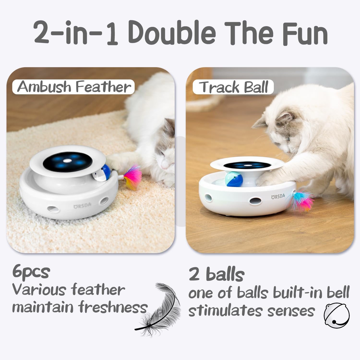 2in1 Interactive Toys for Indoor Cats