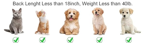 Dog car seat Dog Booster seat