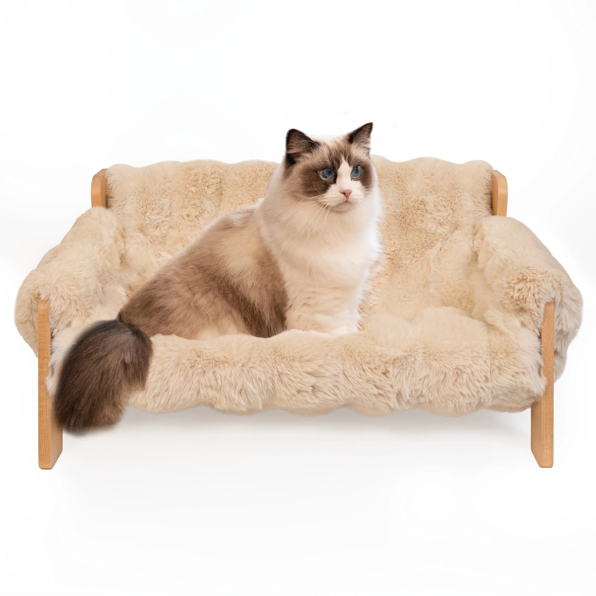 Raised Pet Couch Bed