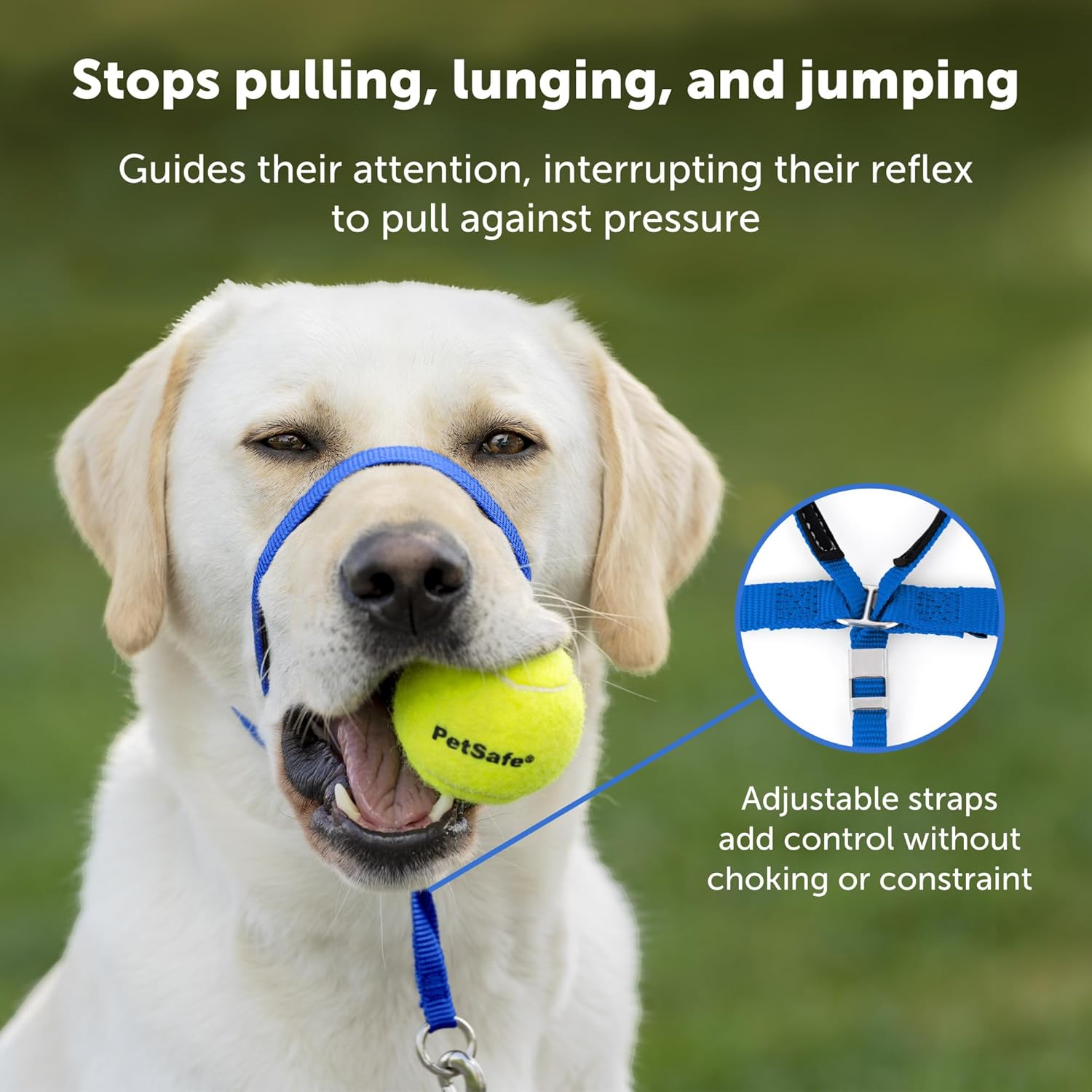 Gentle Leader No-Pull Head Collar for Dogs