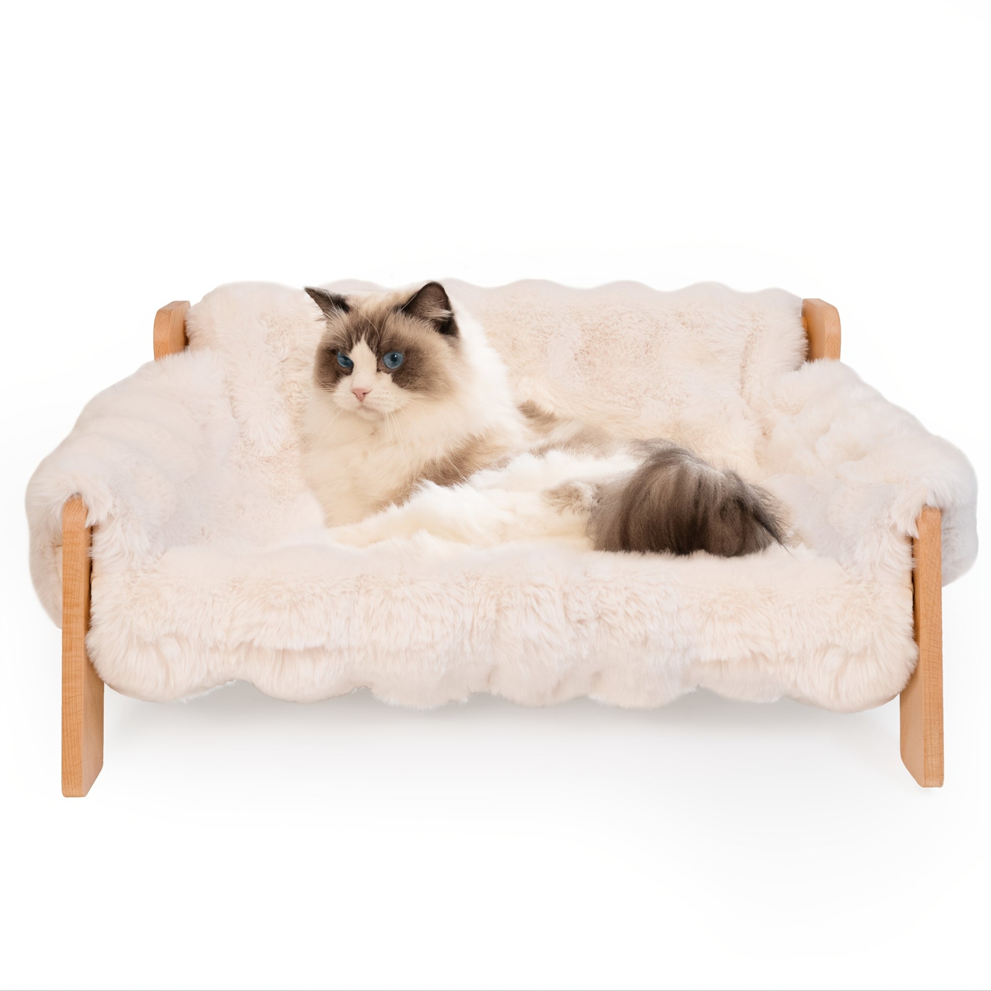 Raised Pet Couch Bed
