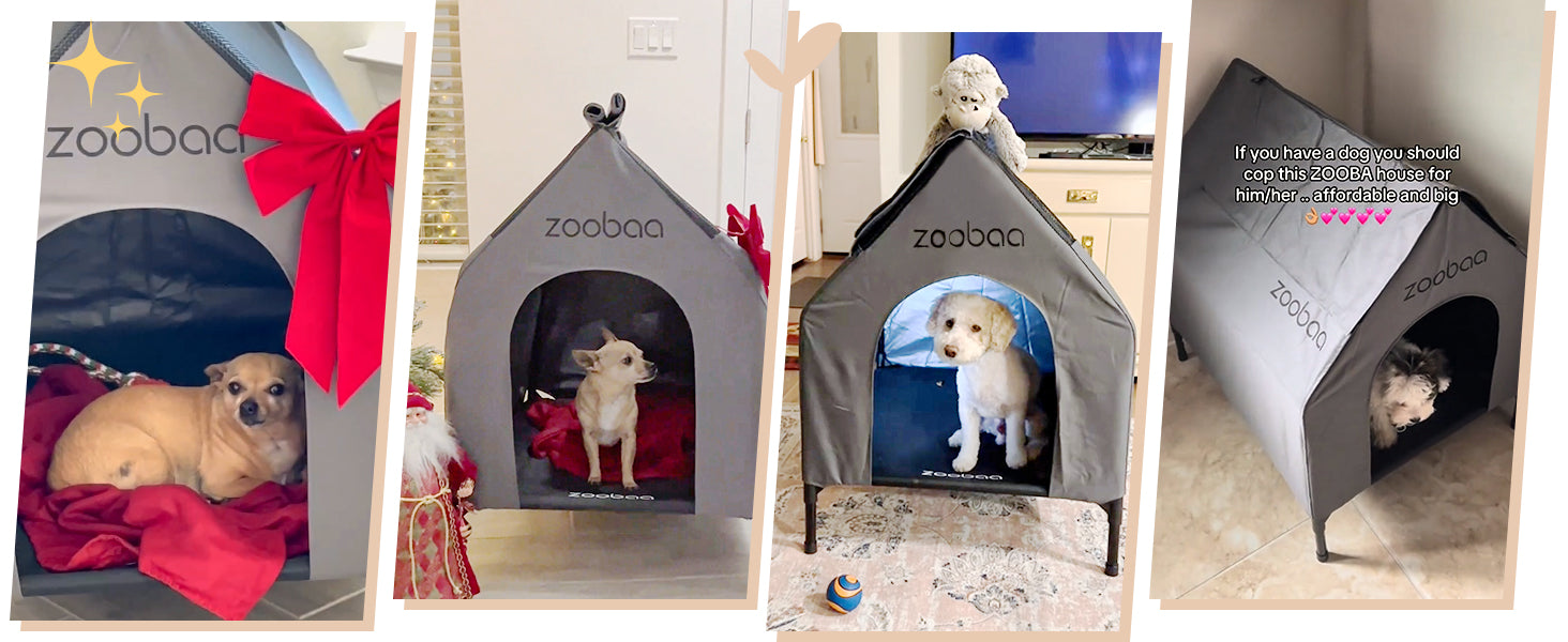 Large Dog House, Weatherproof PVC, Textilene Dog Bed, Easy Clean