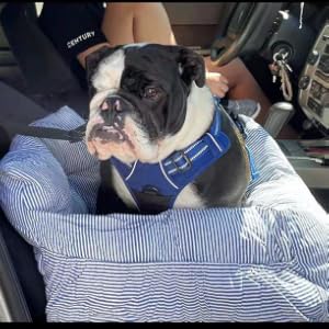 Dog car seat Dog Booster seat