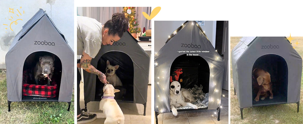 Large Dog House, Weatherproof PVC, Textilene Dog Bed, Easy Clean