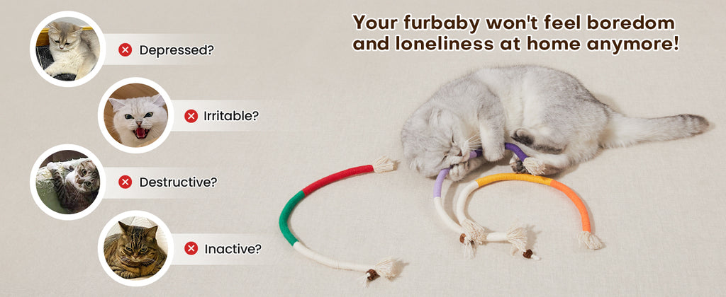 Potaroma Cat Toys Chew Ropes 3Pcs with Refillable Natural Catnip, Safe Teeth Cleaning Toy for Indoor Kittens, Interactive Cat Nip Kitty Toys for All Breeds 19.5 Inches