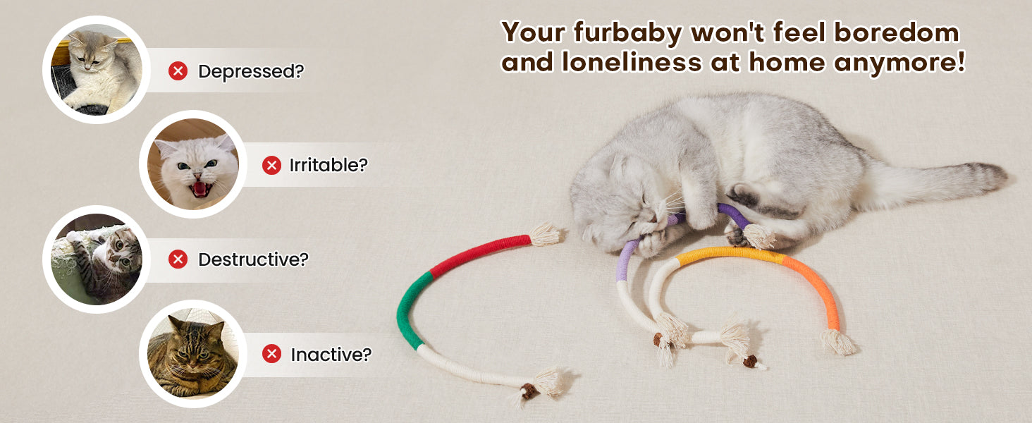 Potaroma Cat Toys Chew Ropes 3Pcs with Refillable Natural Catnip, Safe Teeth Cleaning Toy for Indoor Kittens, Interactive Cat Nip Kitty Toys for All Breeds 19.5 Inches