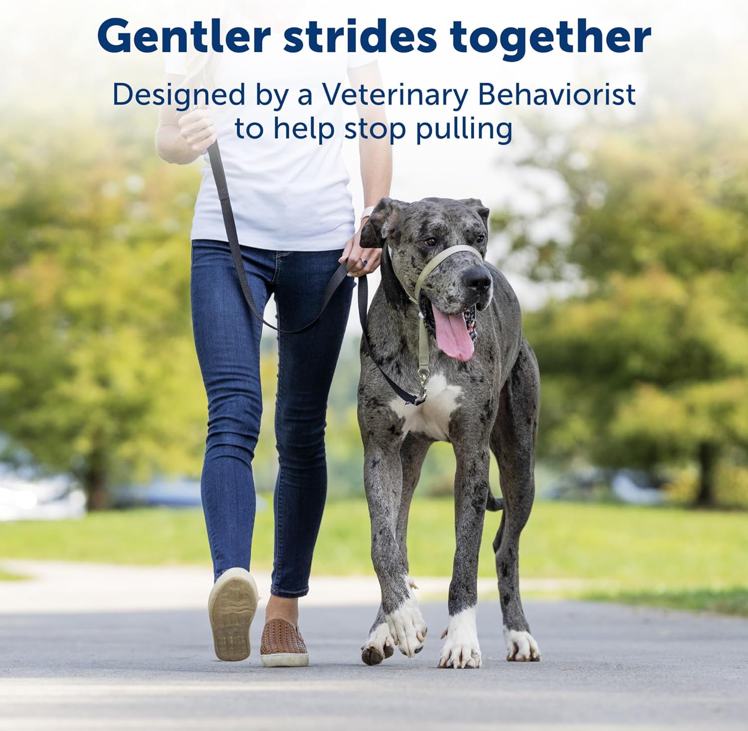 Gentle Leader No-Pull Head Collar for Dogs