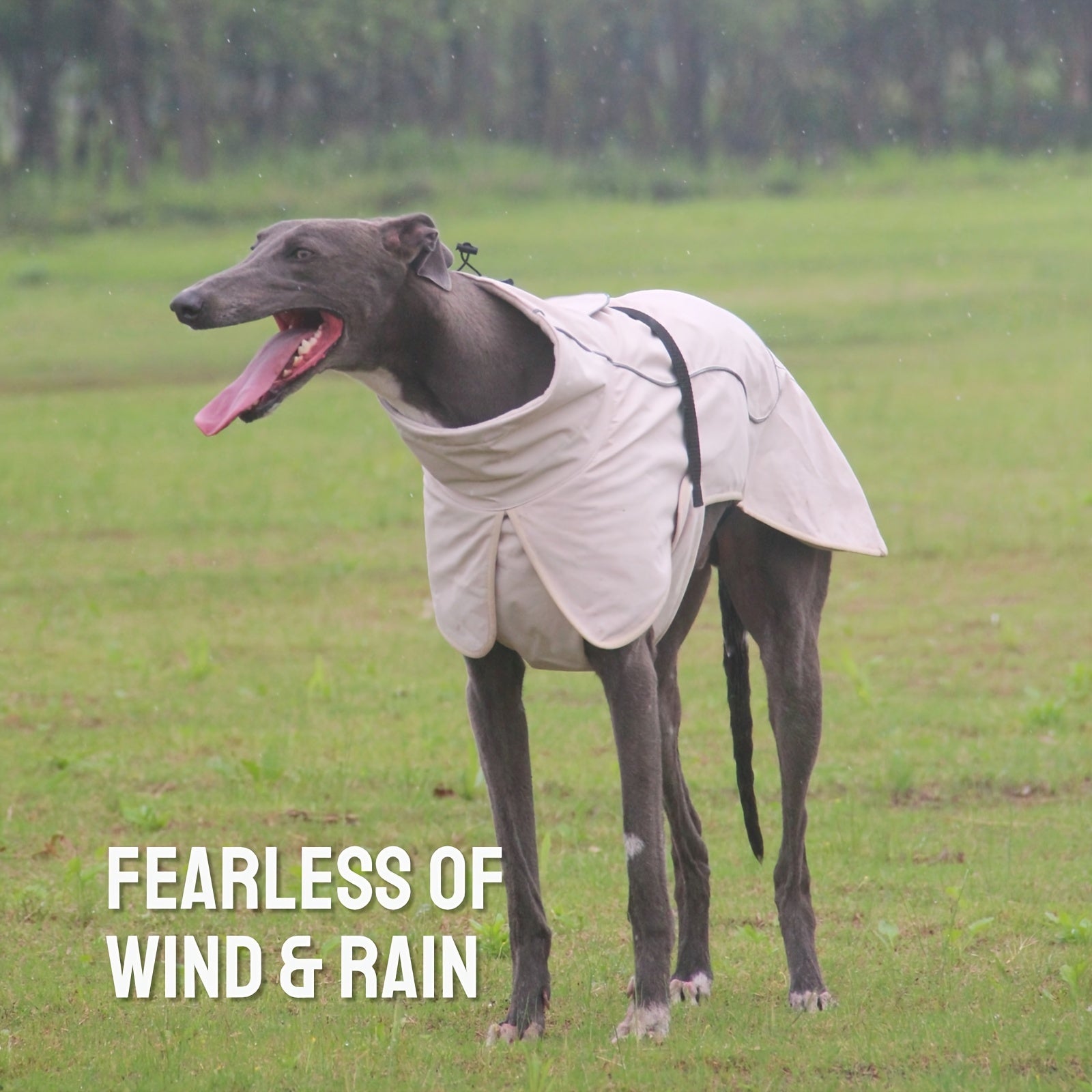 Winter Warmth Double-Layer Dog Jackets