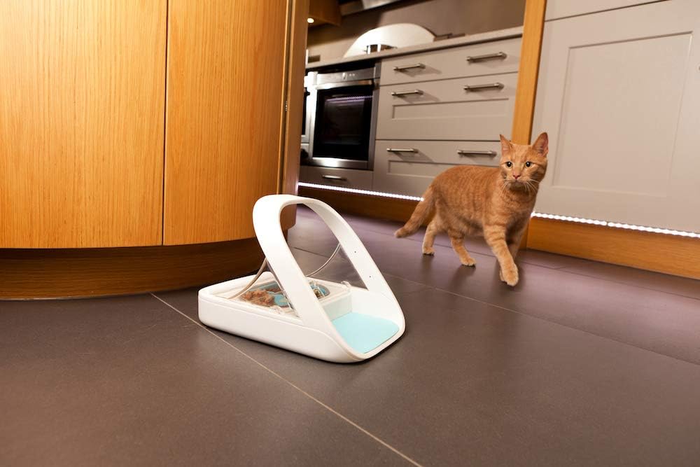 Cat Face Recognition Feeder Selective-Automatic Pet Feeder Makes Meal Times Stress-Free