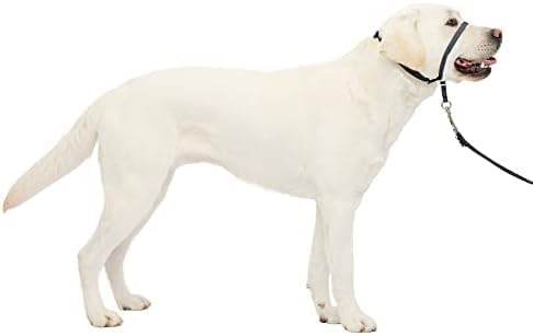 Gentle Leader No-Pull Head Collar for Dogs