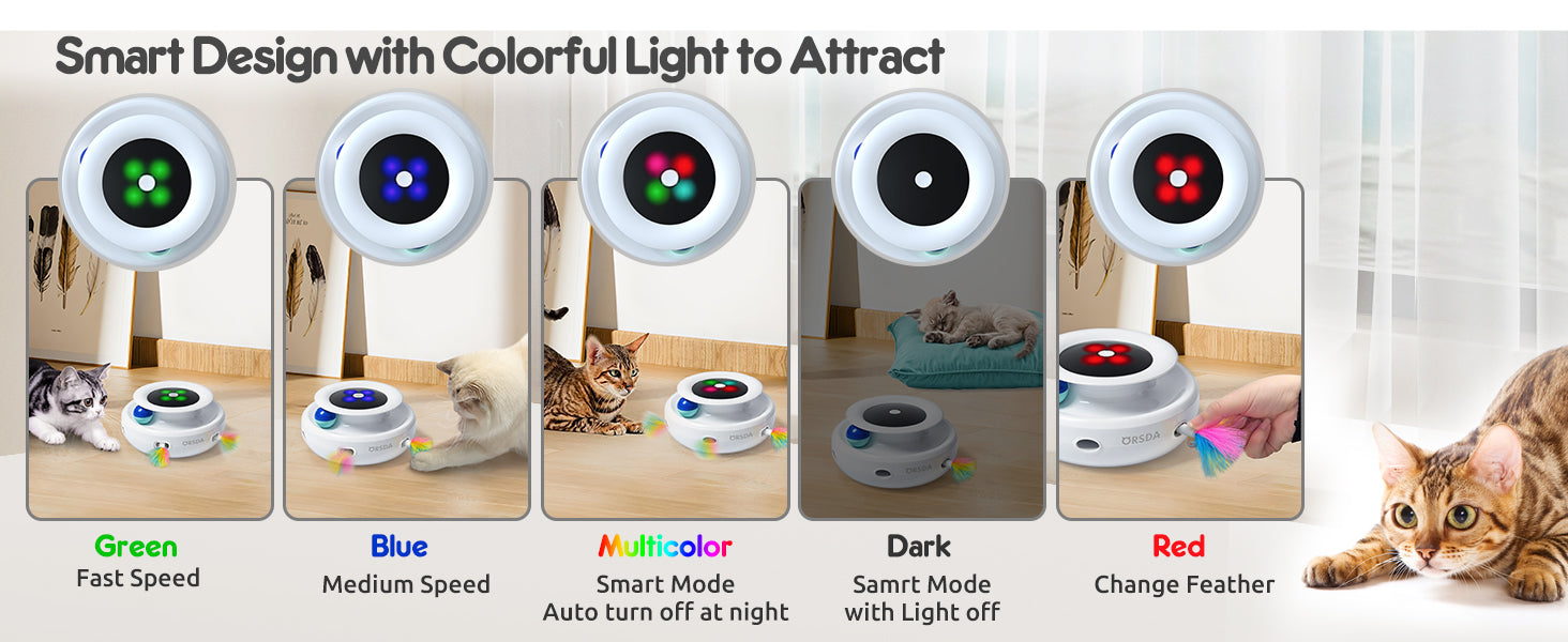 2in1 Interactive Toys for Indoor Cats