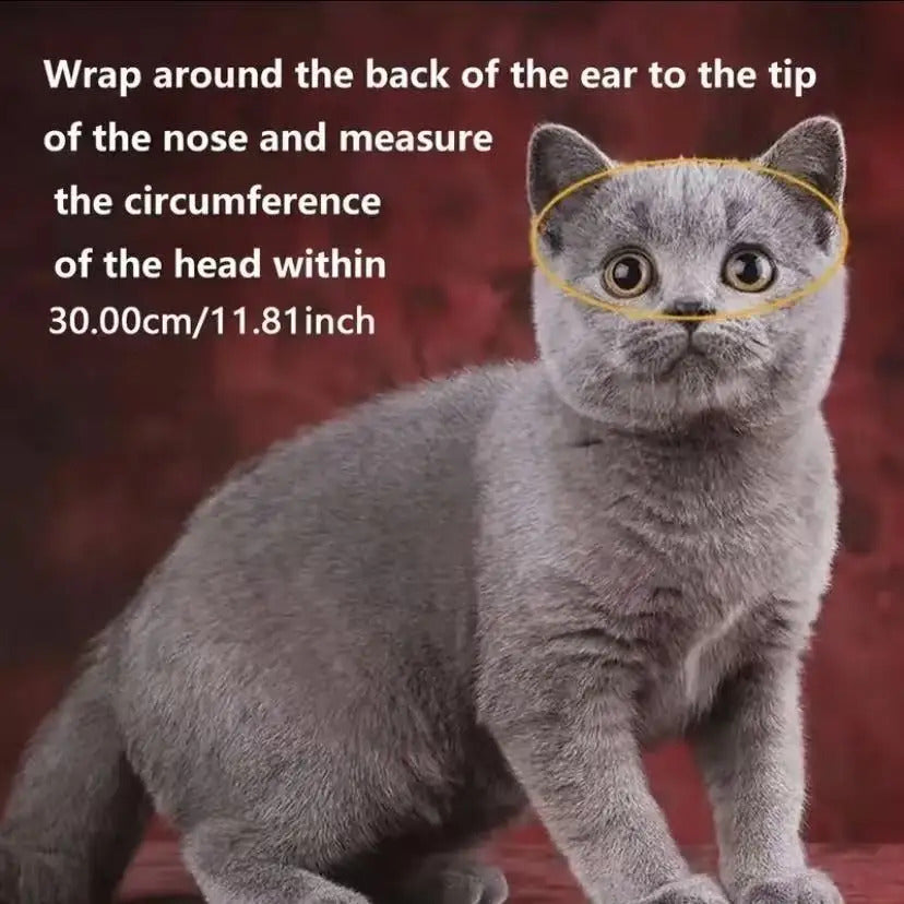 Motorcycle Kitten Helmet - Adjustable Straps