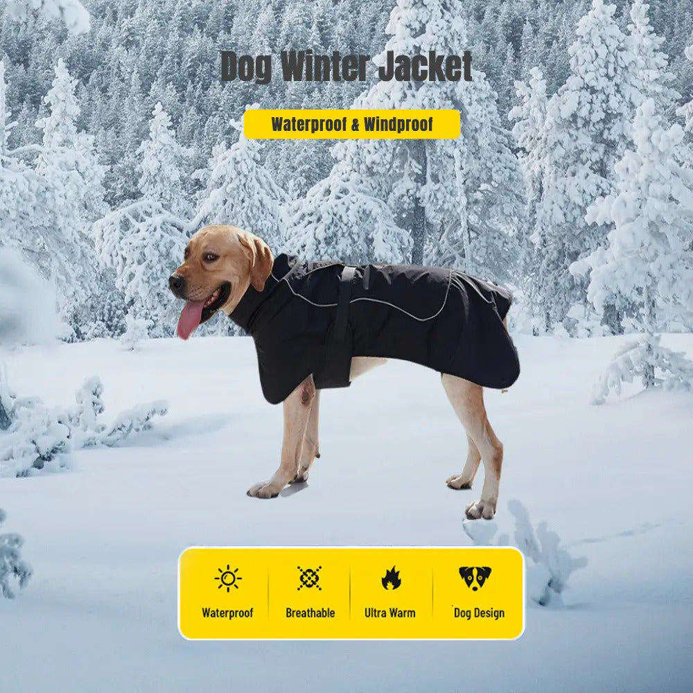 Winter Warmth Double-Layer Dog Jackets