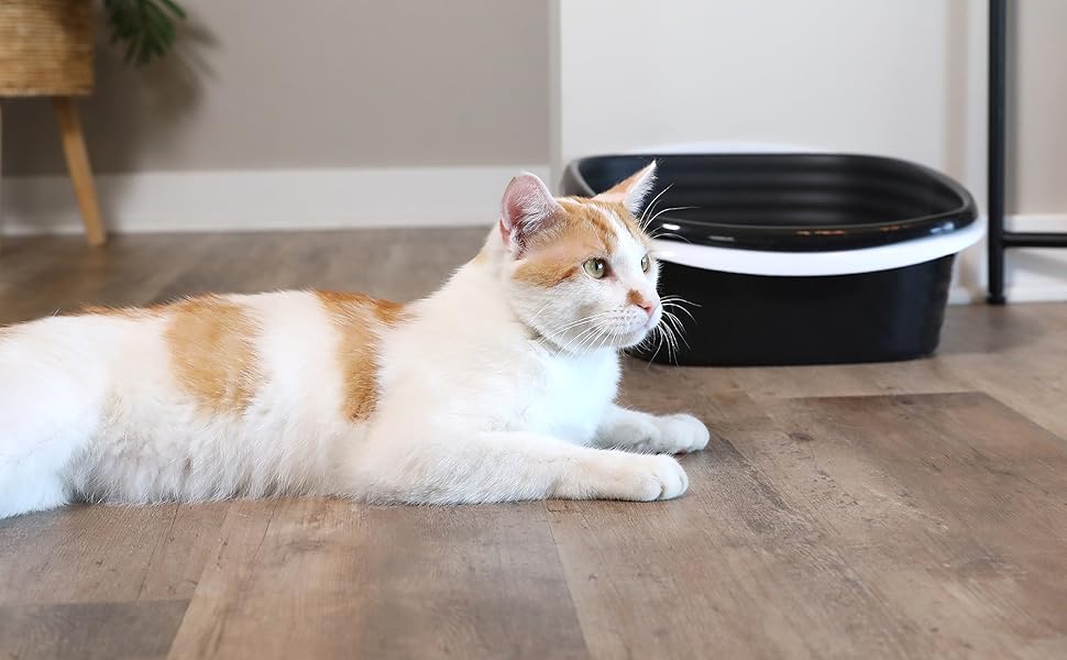 Arm & Hammer Large Sifting Litter Box Scoop Free Cat Litter Tray with Microban, Made in USA