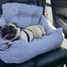 Dog car seat Dog Booster seat
