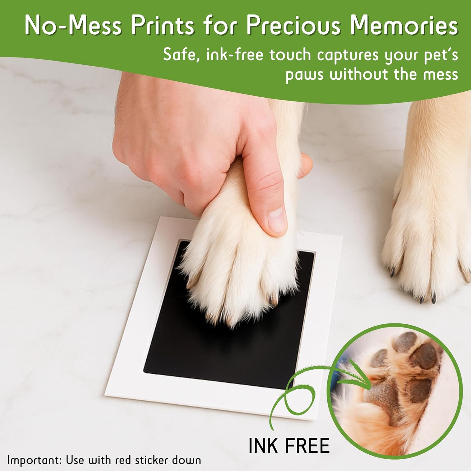 Green Pollywog Extra-Large Clean Touch Inkless Ink Pad Paw Print Stamp Kit |