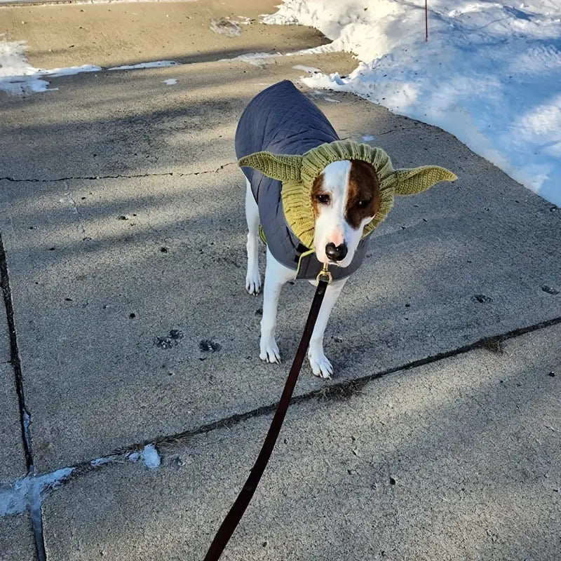 Green Elf Windproof Knitted Dog Hat & Ear Muffs