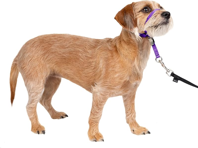 Gentle Leader No-Pull Head Collar for Dogs