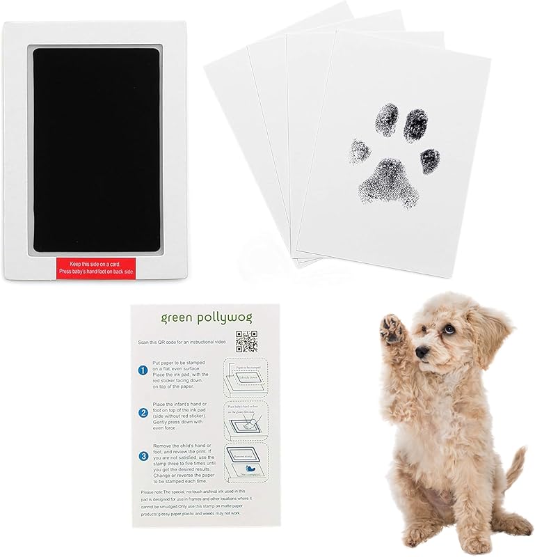Green Pollywog Extra-Large Clean Touch Inkless Ink Pad Paw Print Stamp Kit |