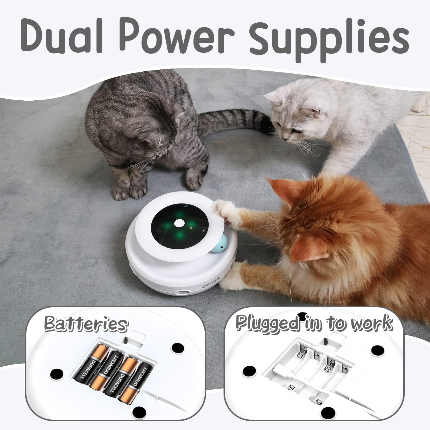 2in1 Interactive Toys for Indoor Cats