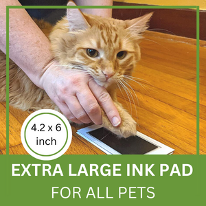 Green Pollywog Extra-Large Clean Touch Inkless Ink Pad Paw Print Stamp Kit |
