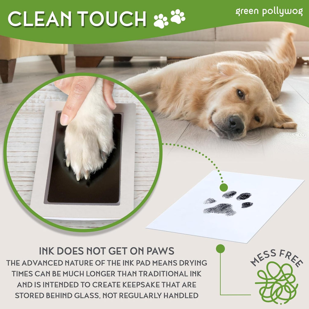 Green Pollywog Extra-Large Clean Touch Inkless Ink Pad Paw Print Stamp Kit |