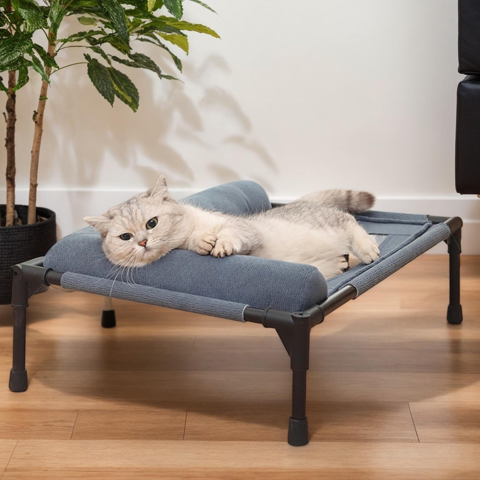 Elevated Pet Cushion All-Season Raised Dog Bed with Ventilated Mesh Base