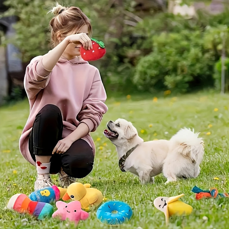 5/10 Random Style Dog Squeak Toy Set