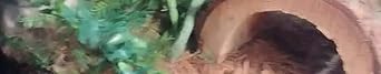 Terrarium Hanging Plant Vines Artificial Leaves Reptile Hide